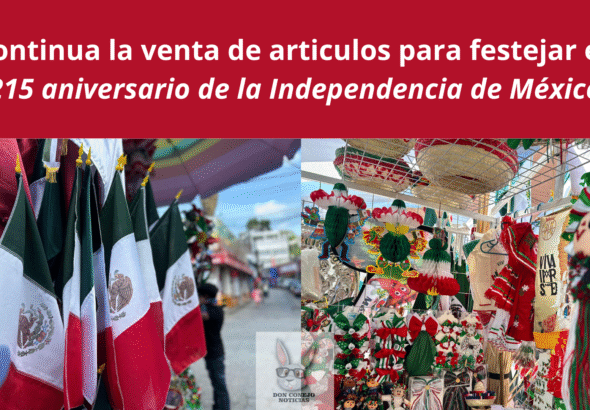 Carnaval Tuxpan 2025 (35)