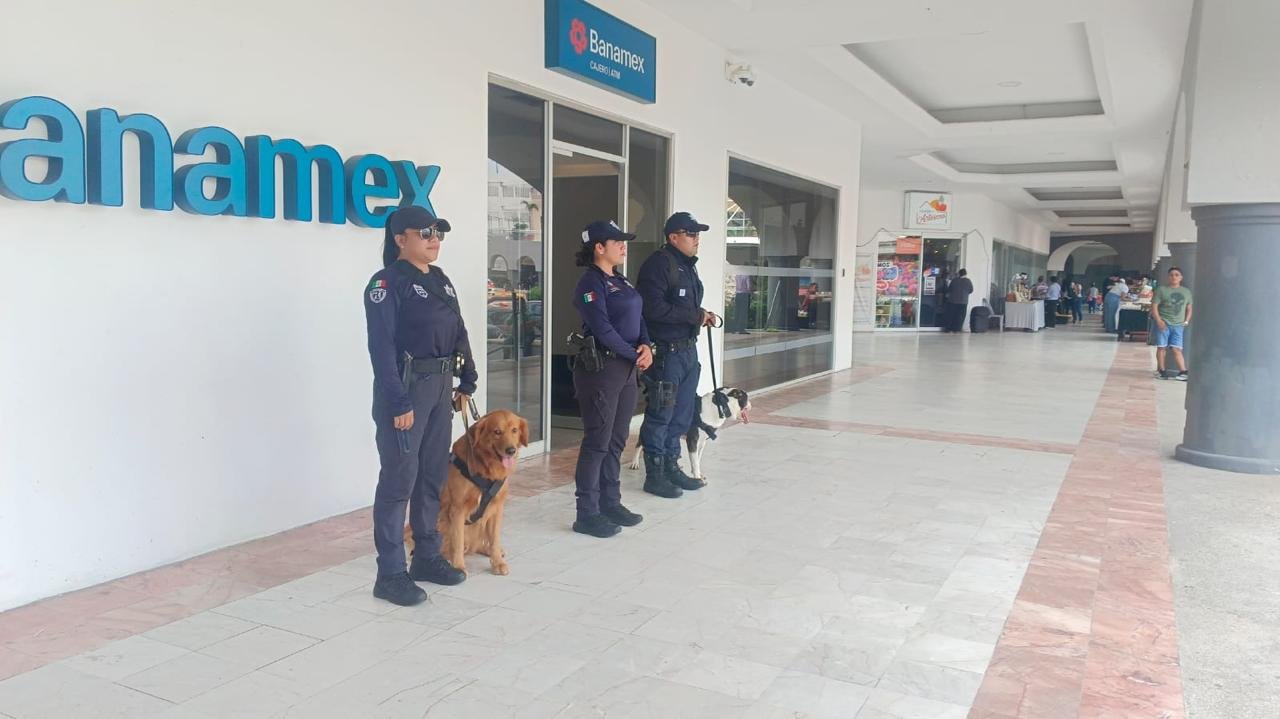 WhatsApp Image 2025-11-13 at 11.18.07 PM