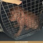 651690491_919651707340140_6628891029548809306_n