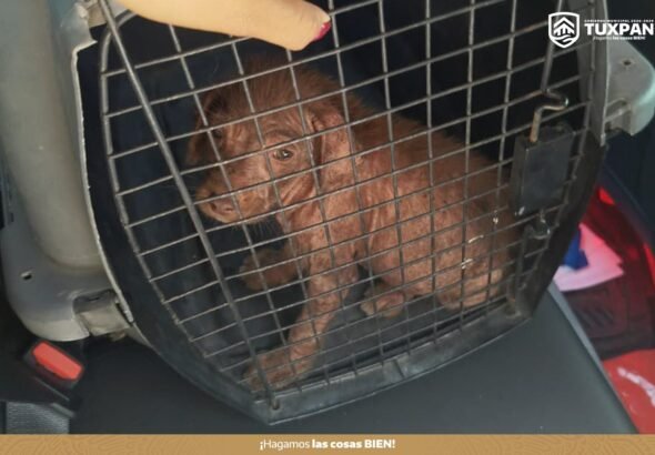 651690491_919651707340140_6628891029548809306_n