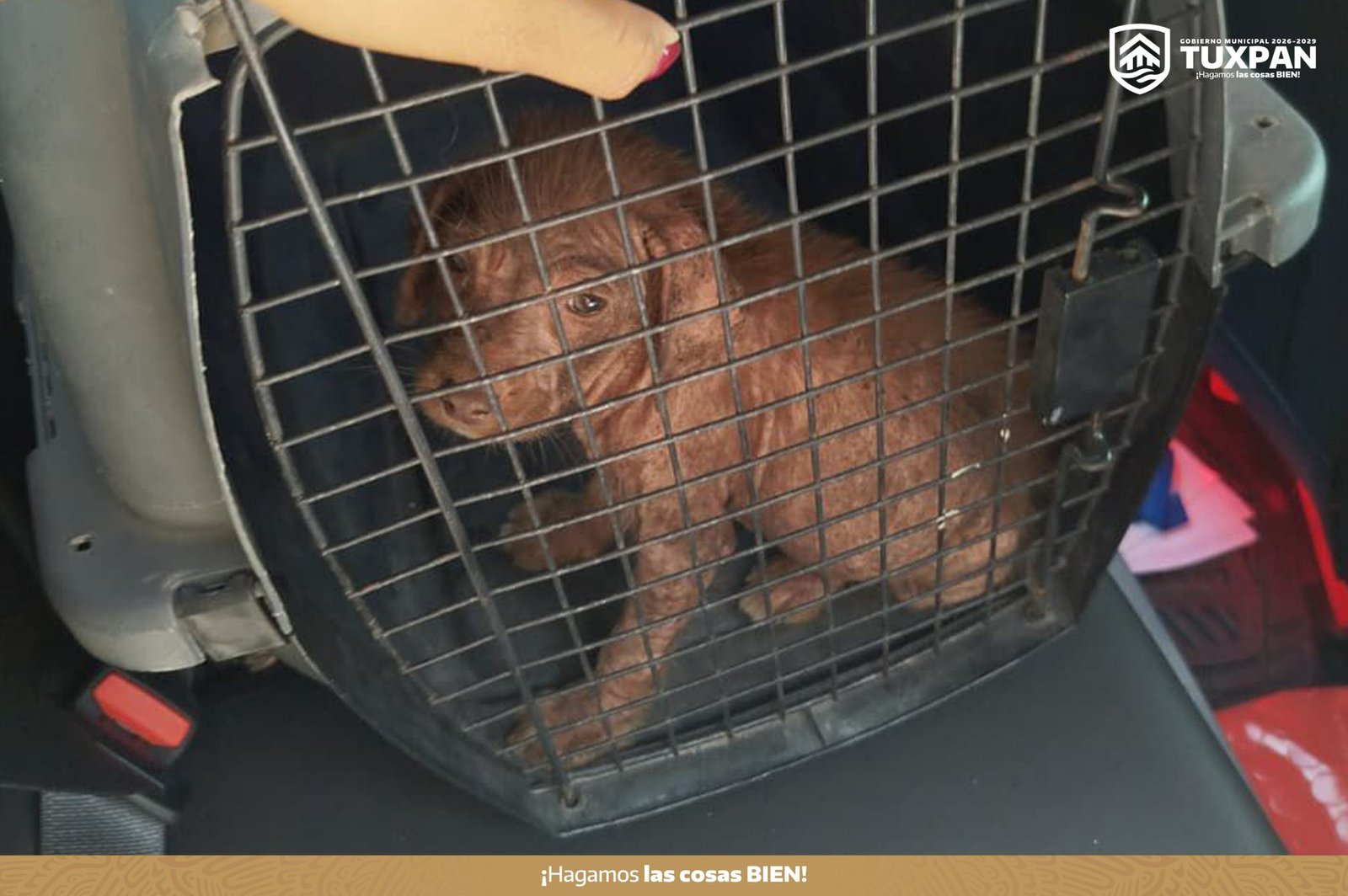 651690491_919651707340140_6628891029548809306_n