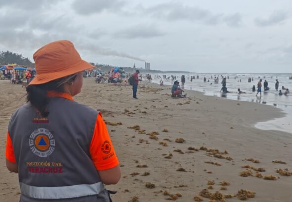 WhatsApp Image 2026-04-13 at 3.16.39 PM